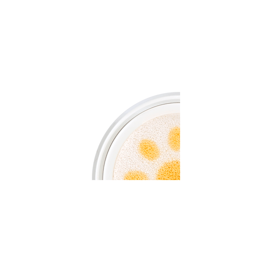 Solare Viso PANG PANG SUN CUSHION UV SHIELD MINI